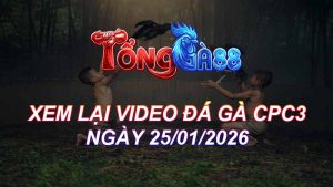 Xem Lại Video Đá Gà CPC3 Ngày 25/01/2026