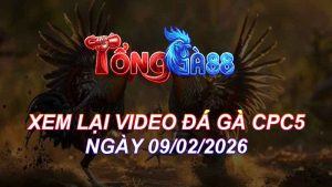 Xem Lại Video Đá Gà CPC5 Ngày 09/02/2026