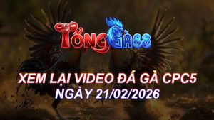 Xem Lại Video Đá Gà CPC5 Ngày 21/02/2026