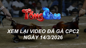 Xem Lại Video Đá Gà CPC2 Ngày 14/03/2026