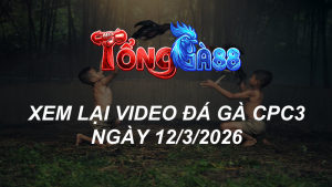 xem lại đá gà cpc3 ngày 12-3-2026