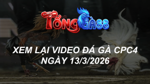 Xem Lại Video Đá Gà CPC4 Ngày 13/03/2026