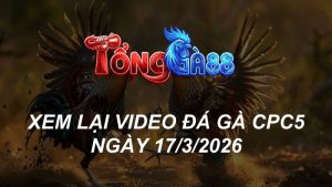 Xem Lại Video Đá Gà CPC5 Ngày 17/03/2026