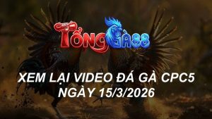 Xem Lại Video Đá Gà CPC5 Ngày 15/03/2026