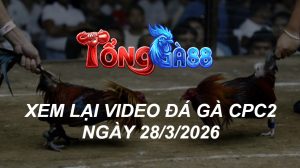 Xem Lại Video Đá Gà CPC2 Ngày 28/03/2026