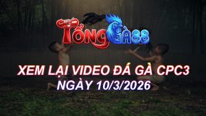 Xem Lại Video Đá Gà CPC3 Ngày 10/03/2026