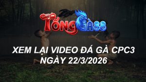 Xem Lại Video Đá Gà CPC3 Ngày 22/03/2026