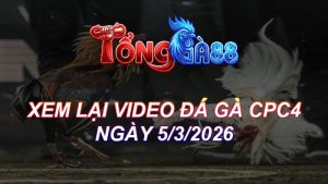 Xem Lại Video Đá Gà CPC4 Ngày 05/03/2026