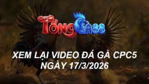 Xem Lại Video Đá Gà CPC5 Ngày 18/03/2026