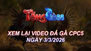 Xem Lại Video Đá Gà CPC5 Ngày 03/03/2026