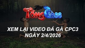 Xem Lại Video Đá Gà CPC3 Ngày 02/04/2026