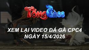 Xem Lại Video Đá Gà CPC4 Ngày 15/04/2026