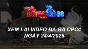 Xem Lại Video Đá Gà CPC4 Ngày 24/04/2026