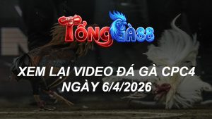 Xem Lại Video Đá Gà CPC4 Ngày 06/04/2026