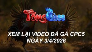 Xem Lại Video Đá Gà CPC5 Ngày 03/04/2026