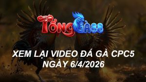 Xem Lại Video Đá Gà CPC5 Ngày 06/04/2026