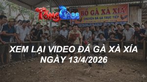 Xem Lại Video Đá Gà XAXIA Ngày 13/04/2026