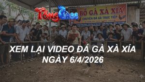 Xem Lại Video Đá Gà XAXIA Ngày 06/04/2026